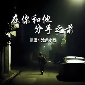 在你和他分手之前