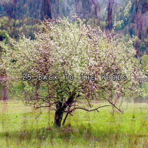 在人行道上跳跃