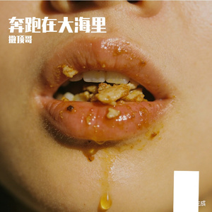 奔跑在大海里