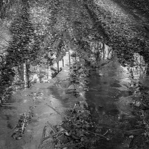 Nataraja (Radio Edit)