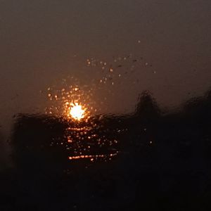 群鹜