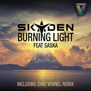 Burning Light (Dave Winnel Remix)