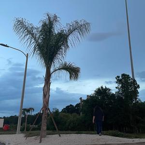 clairvoyant (Live @ Closurefest)