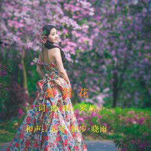 紫荆花-罗龙