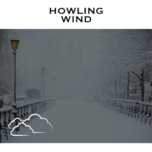 Snow Steps - No Fade