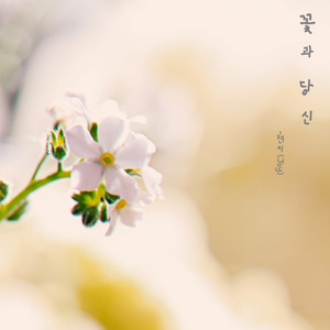꽃과 당신