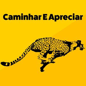 Caminhar E Apreciar