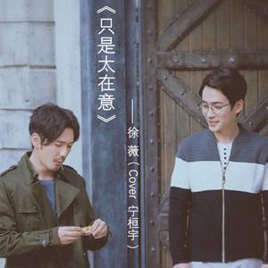 只是太在意 - 徐薇