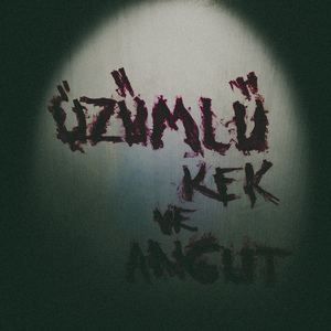 Üzümlü Kek ve Angut