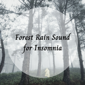 Forest Rain Sound for Insomnia - 1 Hour