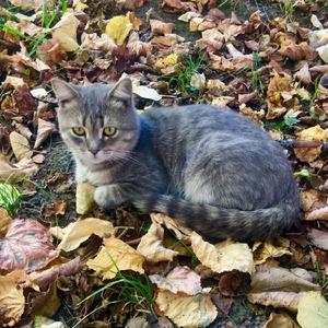 Глянь в окно