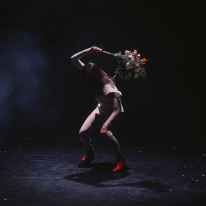 Las zapatillas rojas