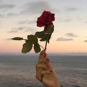 陪我到可可西里去看海