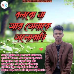বলবো না আর তোমাকে ভালোবাসি