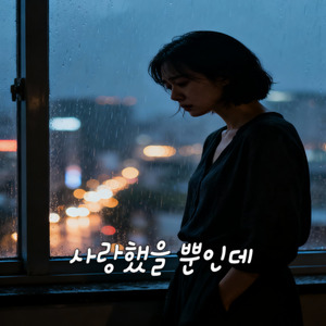 사랑했을 뿐인데