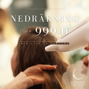 660-613 (Blåsande hårtork)