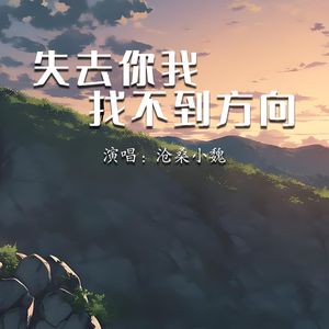 失去你我找不到方向