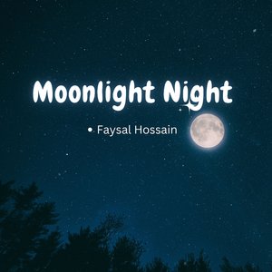 Moonlight Night