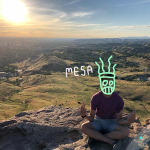 Mesa