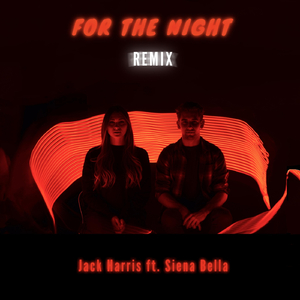 For the Night (Remix) [feat. Siena Bella]