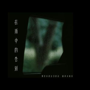 在雨中的告别