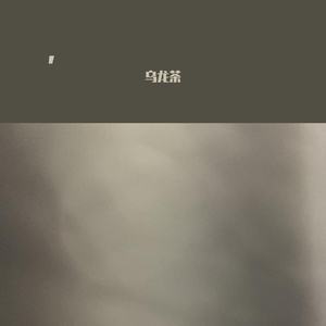 乌龙茶-0（乌龙茶 remix）