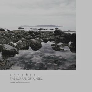 The Birds Have Vanished