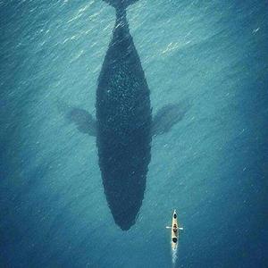 周深-大鱼(器乐合奏)（小涛 remix）