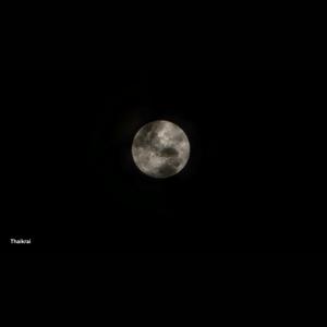 Һандуғас моңо