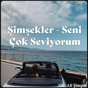 Seni Çok Seviyorum