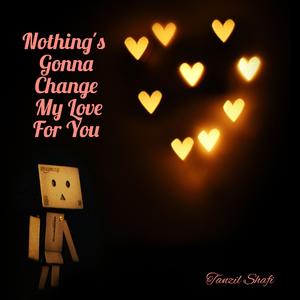 Nothing's Gonna Change My Love For You