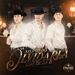 No Puedo Olvidarla