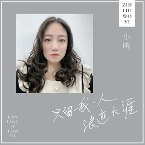 只留我一人浪迹天涯