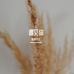 陪你度过的浪漫