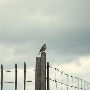 гнать пургу （扯淡 Russian ）v2 by @ptzen