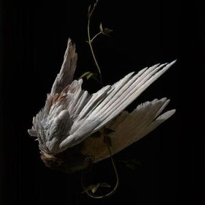 " 爱难续 " - Asen × 郑州人 × Lil Tjay Type Beat 2025