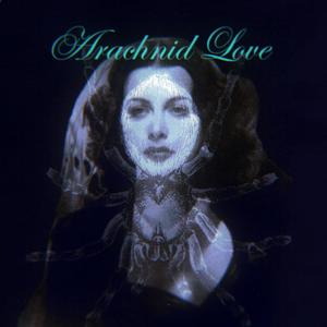 Arachnid Love