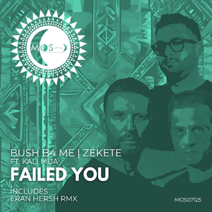Failed You (Eran Hersh Remix)