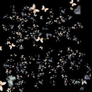 消失的他 (Prod.by CuD)