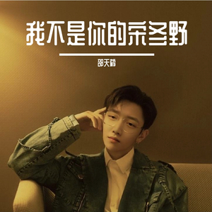 我不是你的宋冬野