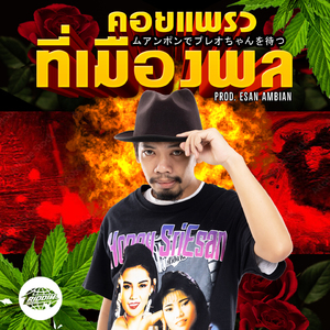 คอยแพรวที่เมืองพล