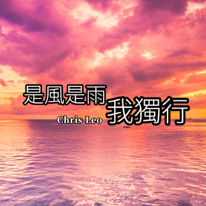 是風是雨我獨行 (伴奏)