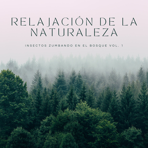 Canciones Del Jardín