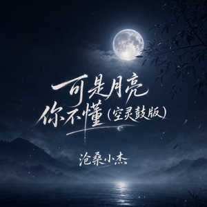 可是月亮你不懂(空灵鼓版)