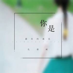 你是最美的遇见