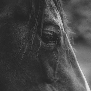 Don't ruin my dreams (Byona Mix)