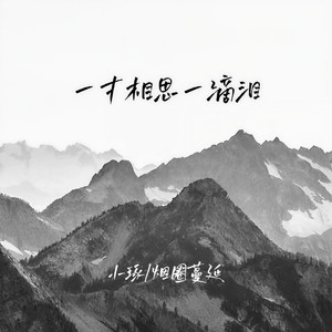 一寸相思一滴泪 (伴奏)