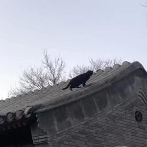 暗讽