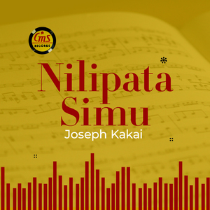 Nilipata Simu