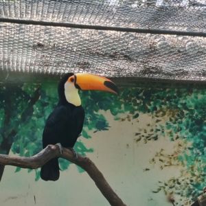 允三七-派对曼陀罗（允三七 remix）